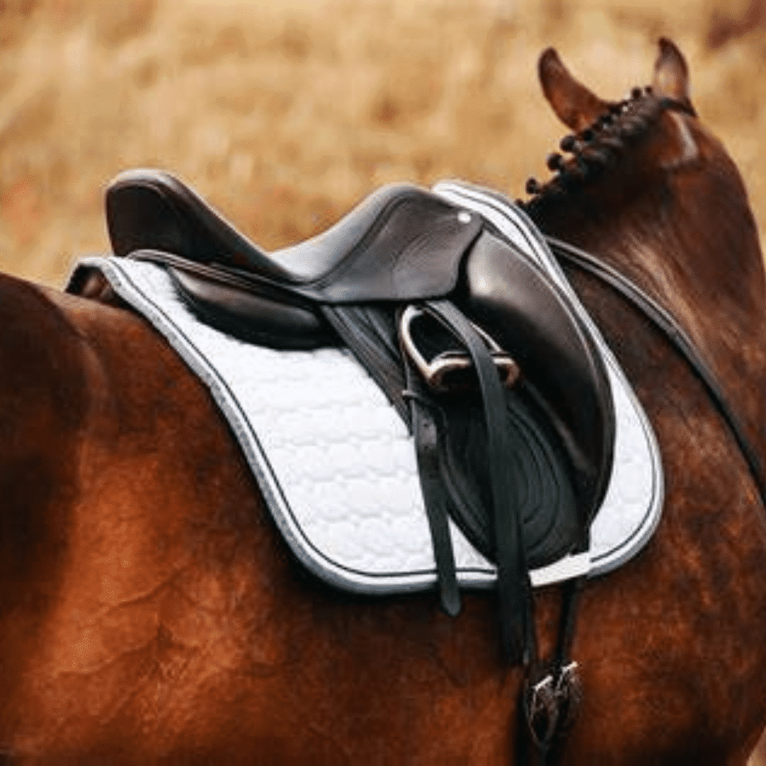 Close-up of a saddle highlighting the importance of symmetry in horse training to ensure consistent muscle tone and an even saddle fit.