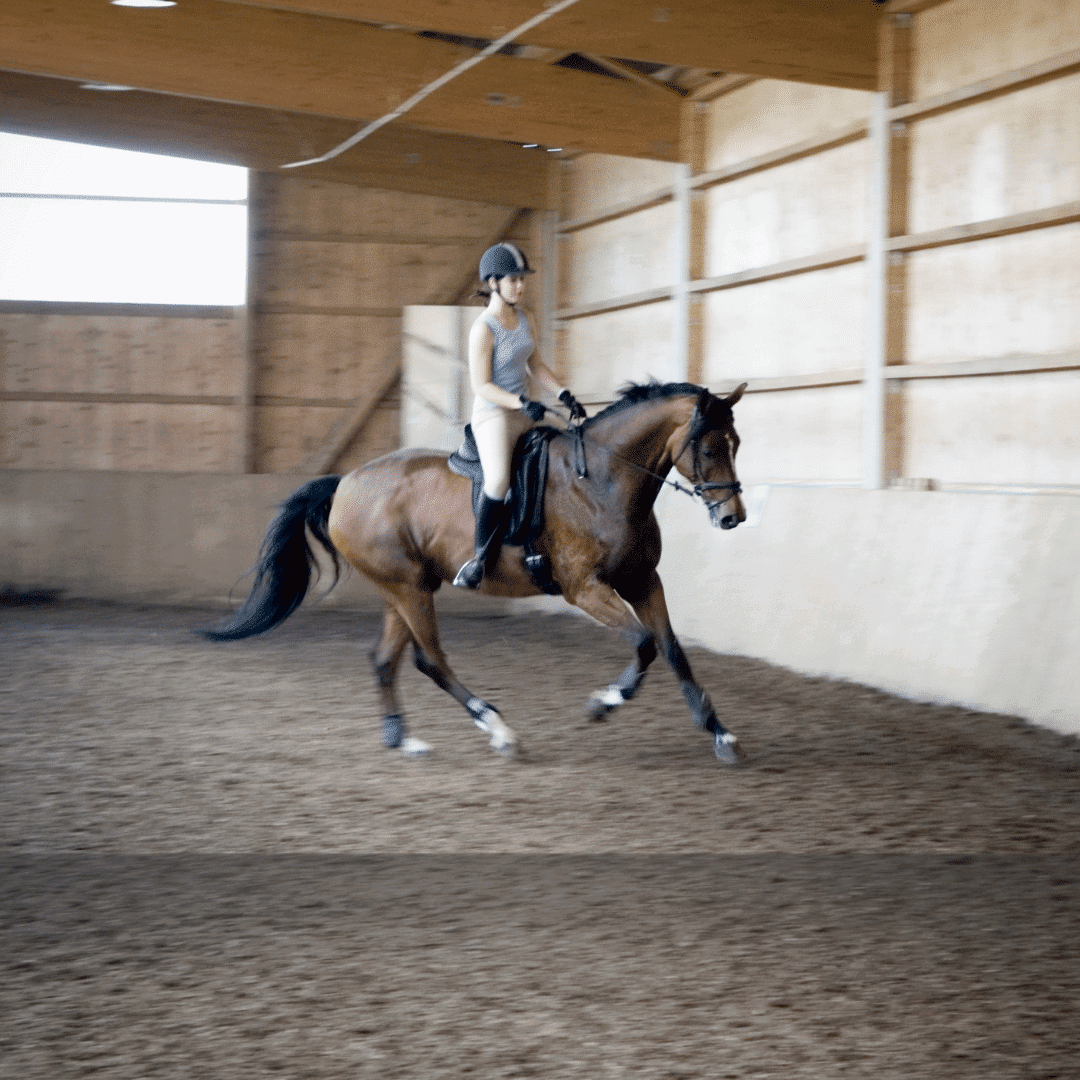 Rider showing the importance of canter