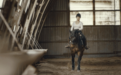 Alleen aan het trainen? Laat de Equestic SaddleClip jouw ogen vanaf de grond zijn
