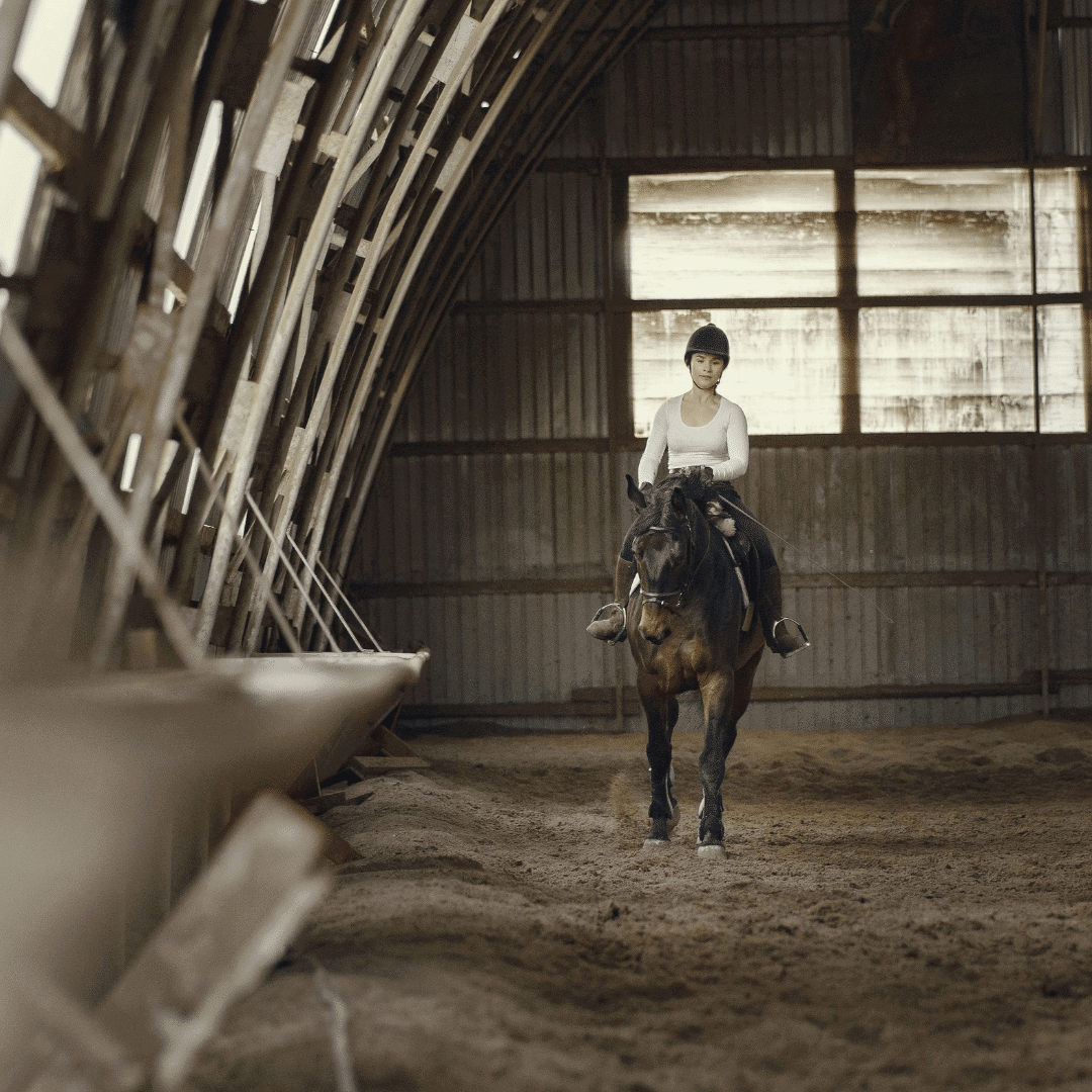 Solo Rider in a training session with her horse and Equestic