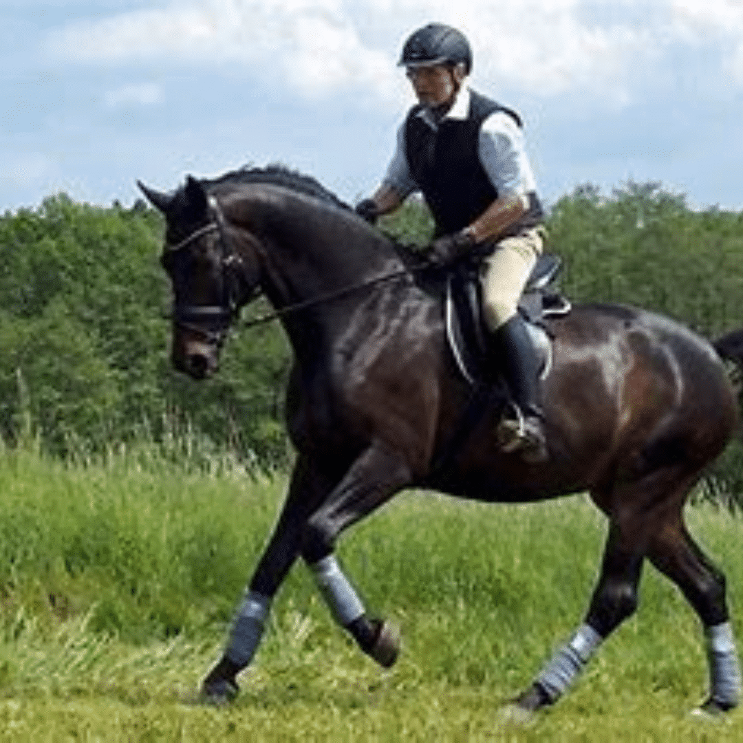 Rider  performing targeted riding exercises to build strength and enhance the topline muscle development of his horse