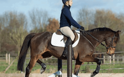 Riding Exercises for Horses: Build Fitness and Topline with Smart Training