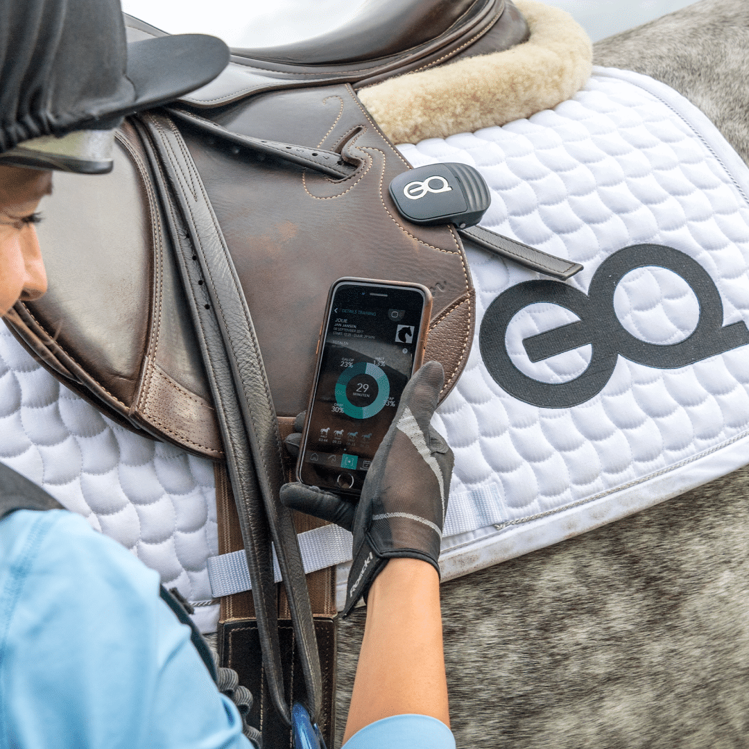 Spotting fatigue in horse before it becomes a problem - Equestic SaddleClip