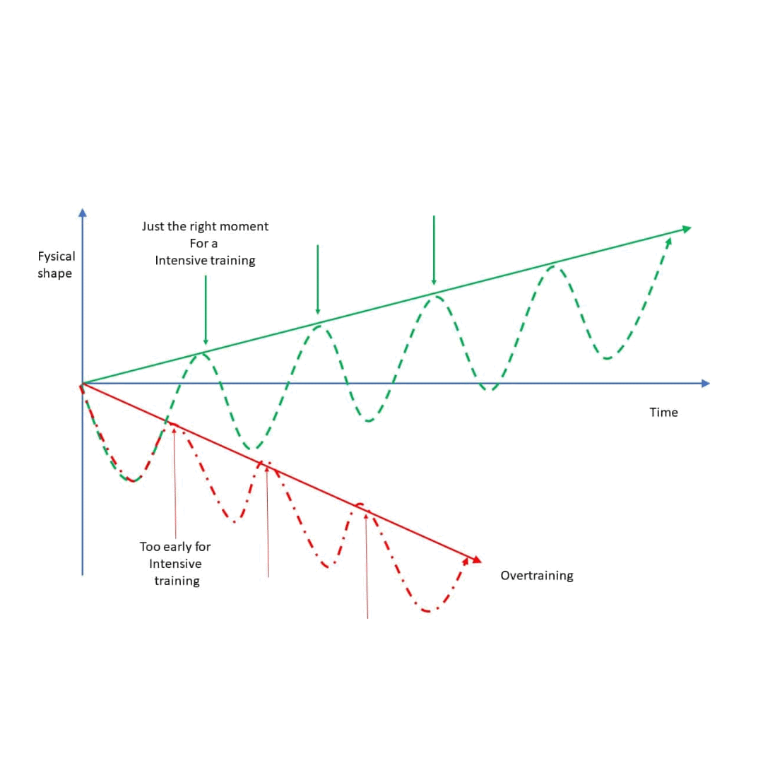 How Supercompensation works shown in a graph