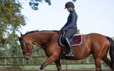 Spot Horse Fatigue Before It Causes Trouble with Fitness Tracking Tools