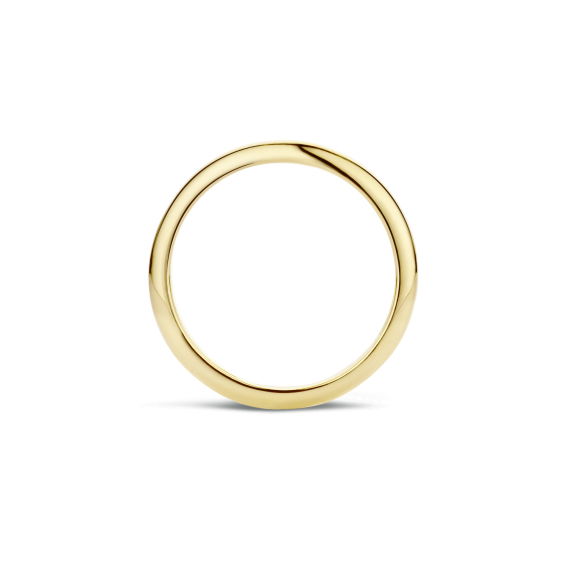 Blush ring 1117YGO - Afbeelding 2