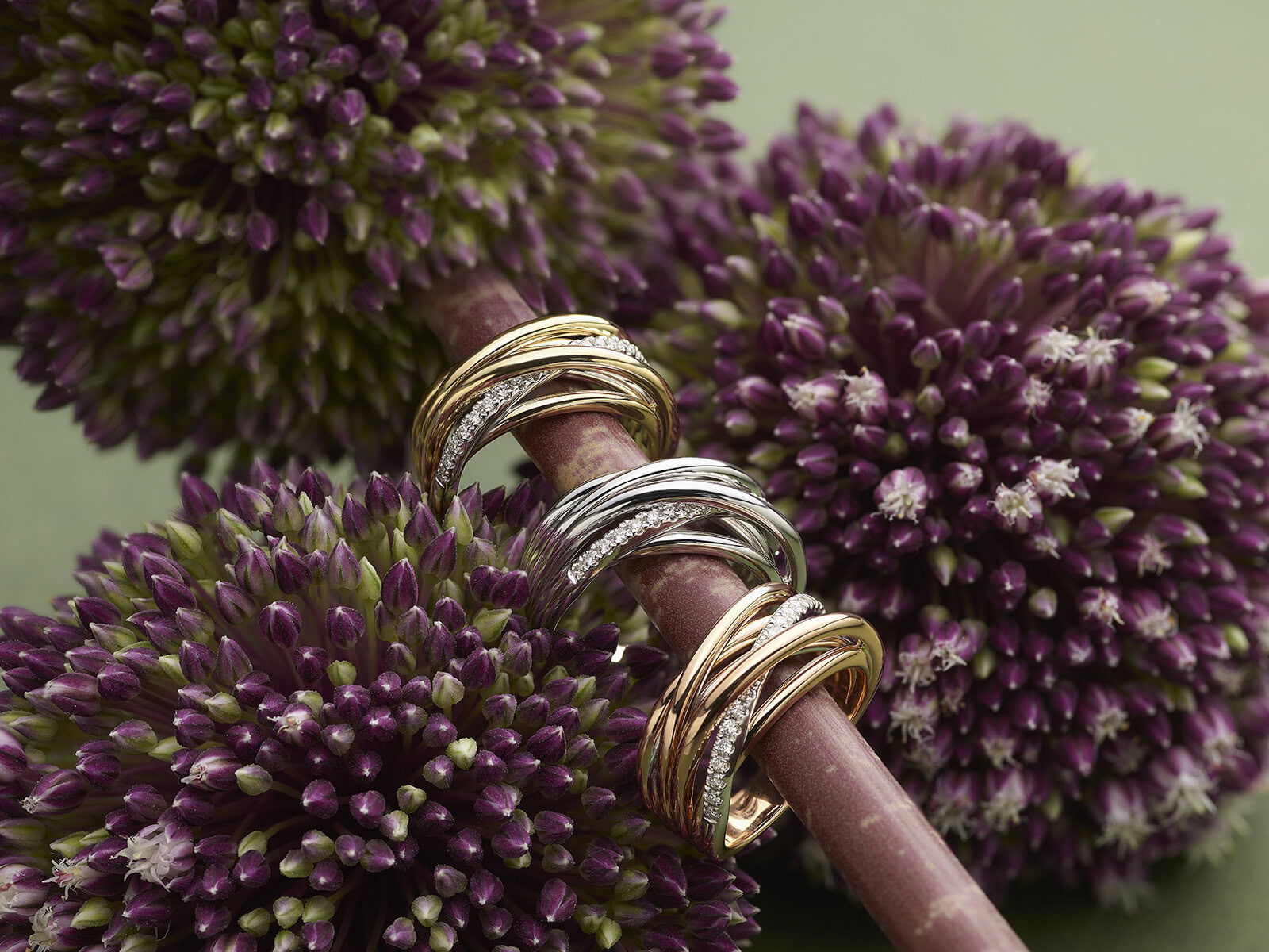 Elegant Xpression Diamond ring witgoud - Afbeelding 4