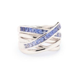 Royal Xpression ring witgoud