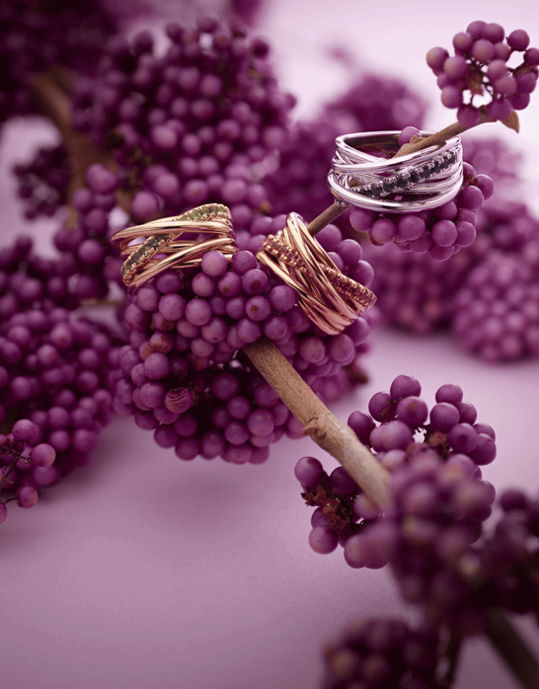 Elegant Xpression Royal ring witgoud - Afbeelding 5
