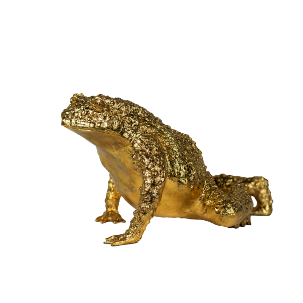 Grenouille deviant prince