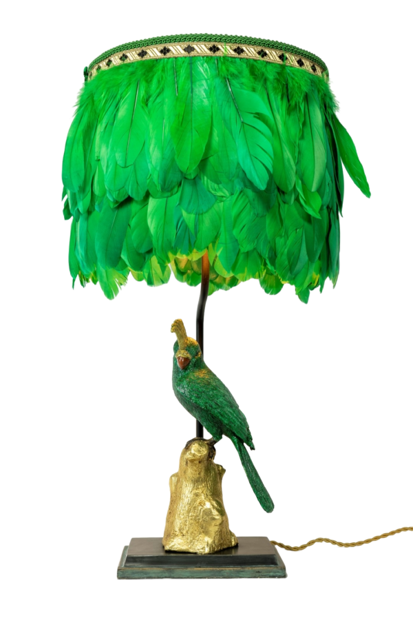 Dirty speaking parrot right
