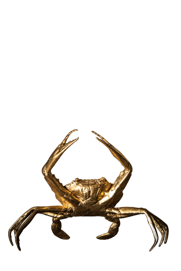 Mr. Crabs medium