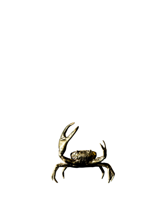 Mr. Crabs small