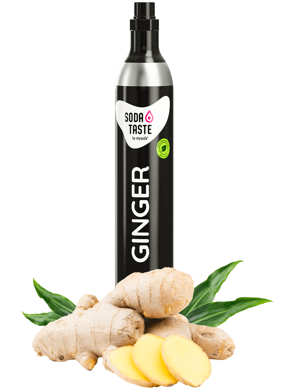 SodaTaste Ginger- cilinder