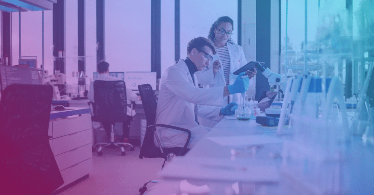 gehonoreerde projecten