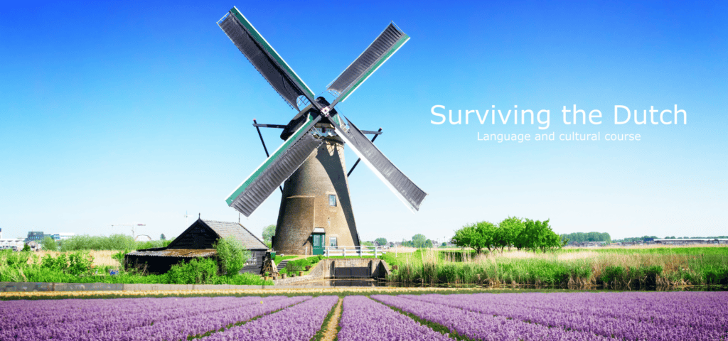 Surviving the Dutch 1.0