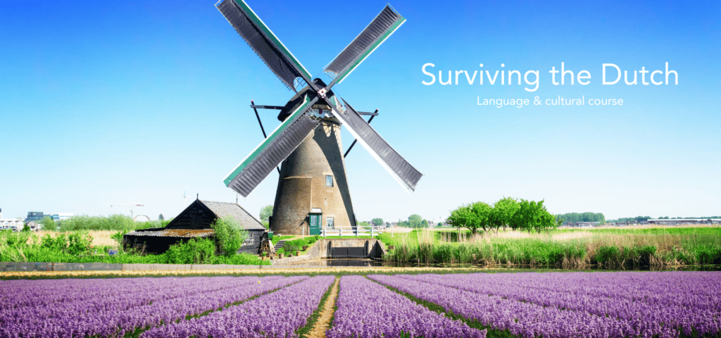 surviving the dutch 1.0 and 2.0 1