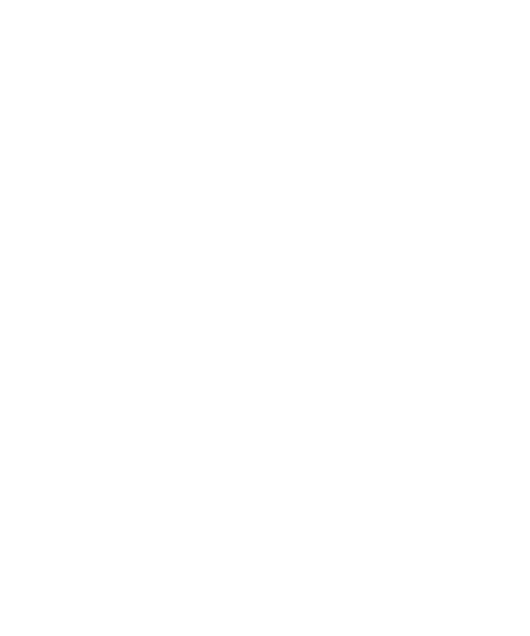 DNV logo for ISO9001 and ISO27001 certification