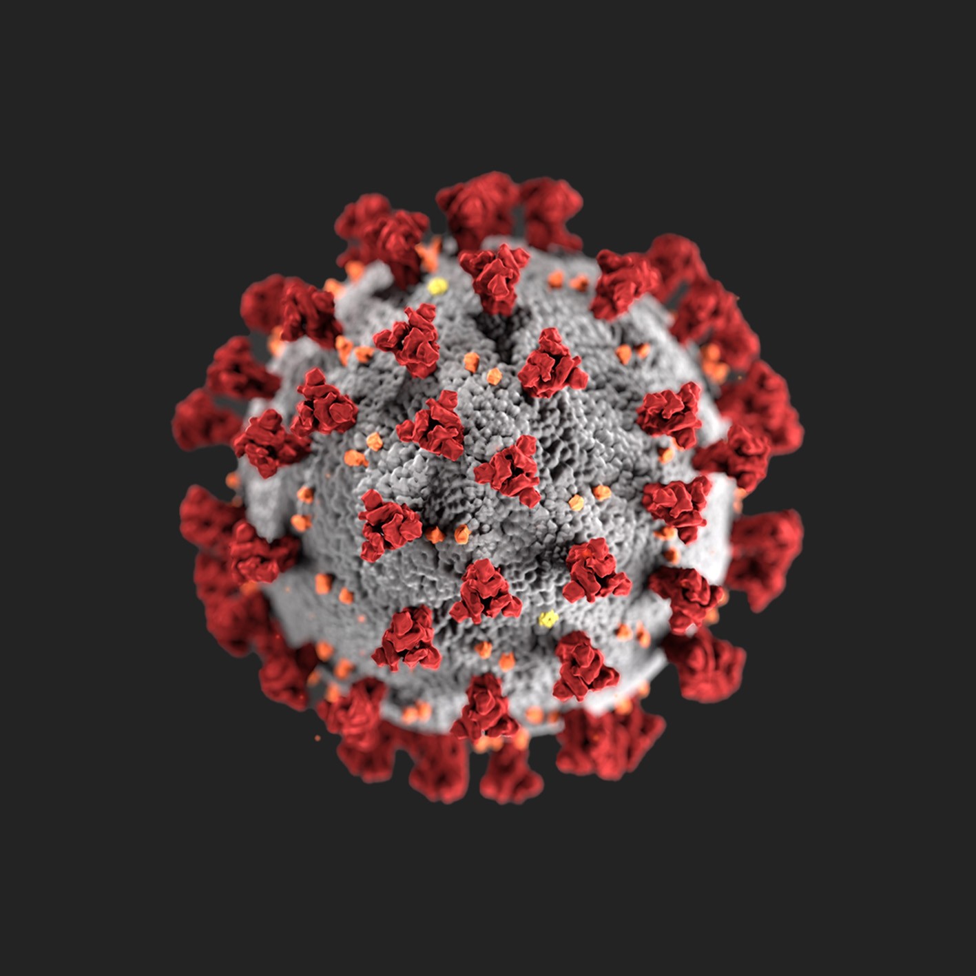 SARS-CoV-2