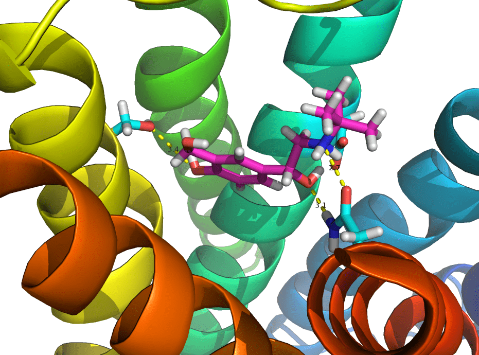 Virtual Screening an in-silico analysis for hit analogs