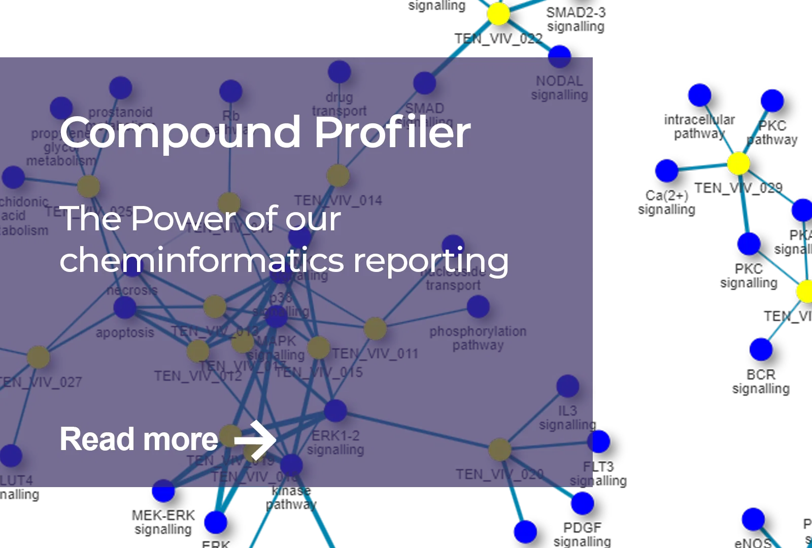 Compound Profiler