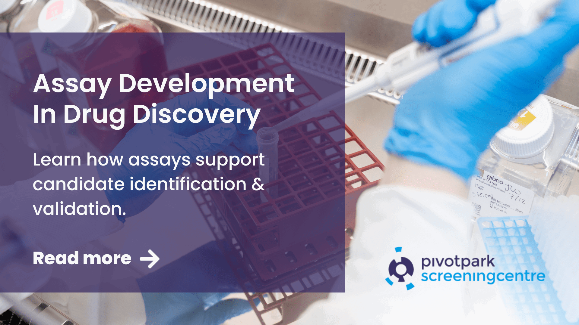 Assay Development Blog