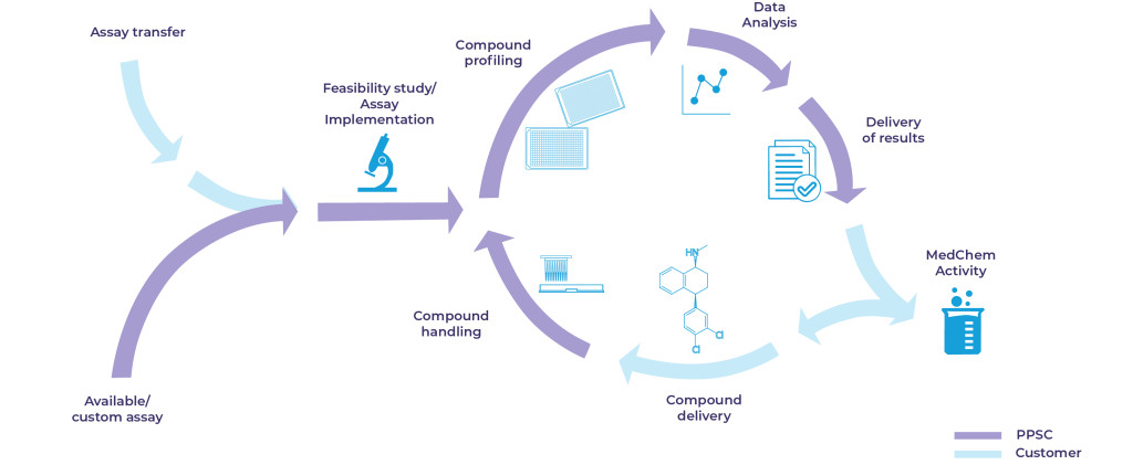 The Hit-to-lead optimization process at Pivot Park Screening