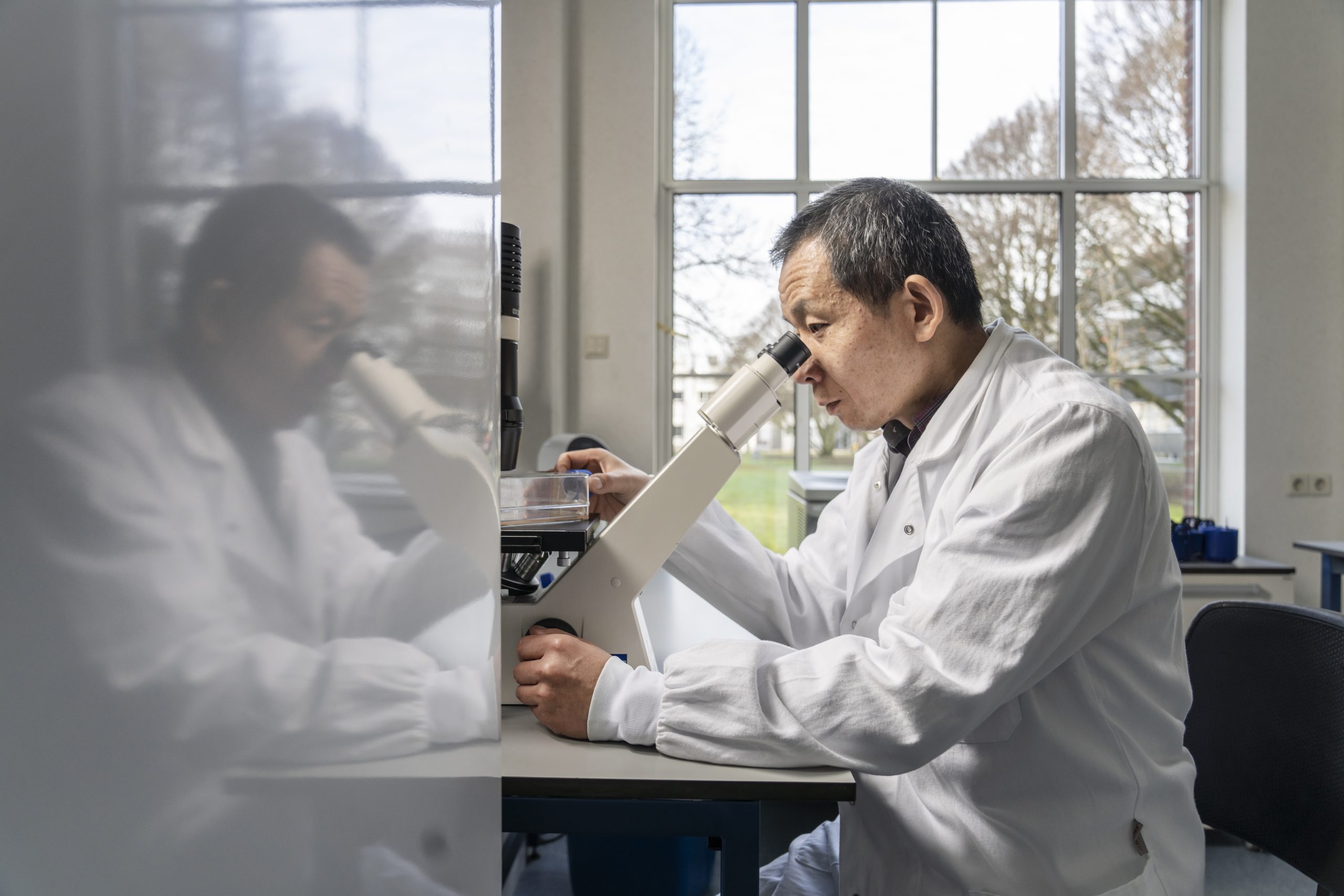 Assay Development and Screening, looking for a new potential drug