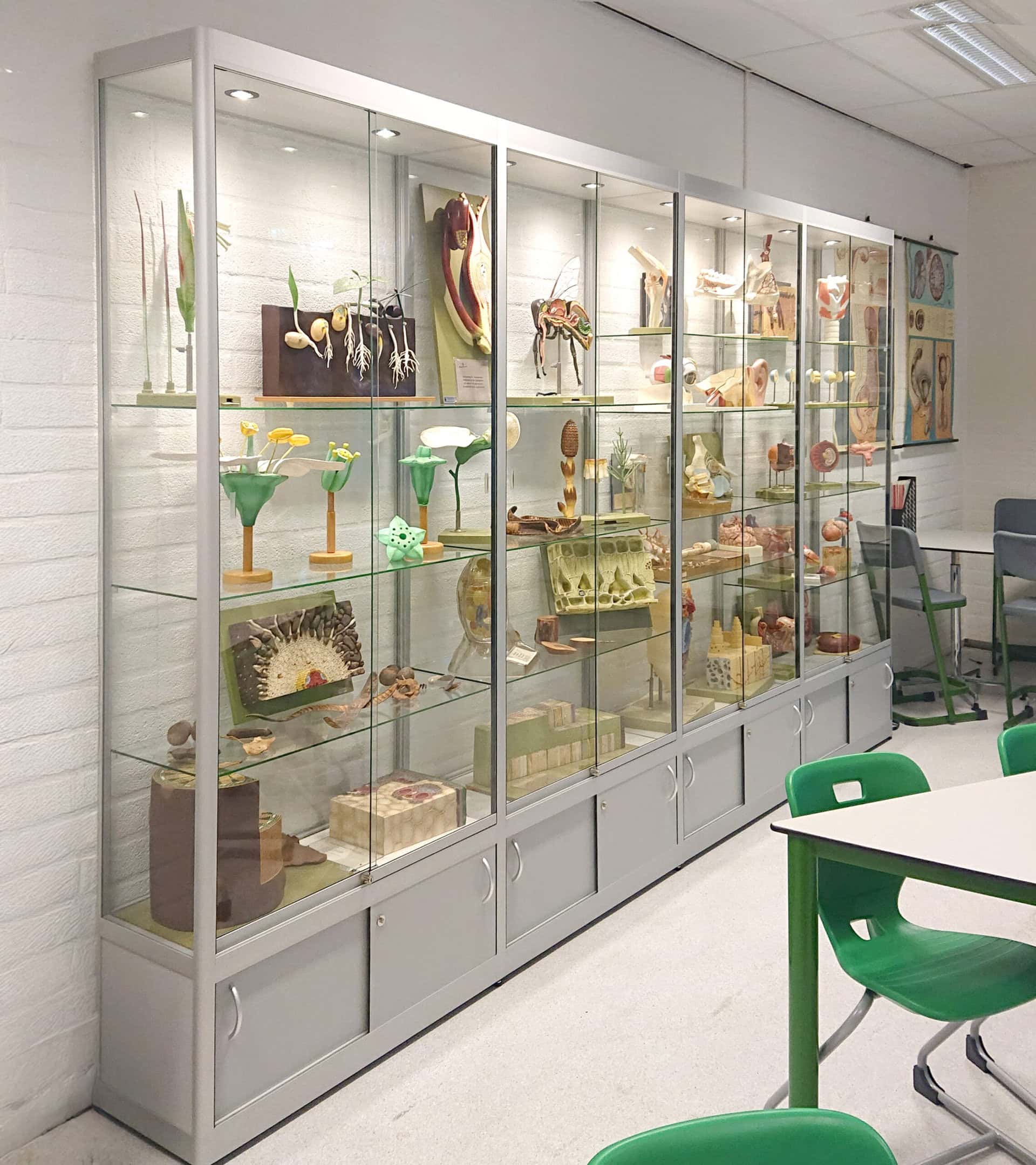 Duurzame vitrinewanden voor scholen, maatwerk voor de presentatie van leerlingenwerk en erfgoedprojecten