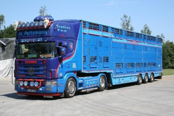 SCANIA R4 TOPLINE 4X2 LIVE STOCK TRAILER 3 AXLE - H. PEITZMANN - Afbeelding 2