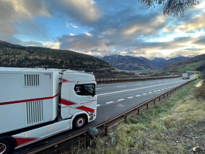 SCANIA  NEXT GEN 500S MET 3 ASSIGE PLUIMVEE OPLEGGER CHICKLINER - Afbeelding 3