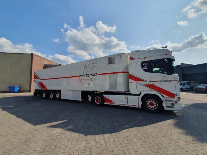 SCANIA  NEXT GEN 500S MET 3 ASSIGE PLUIMVEE OPLEGGER CHICKLINER - Afbeelding 7