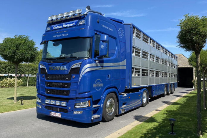 Moeyaert; SCANIA S HIGHLINE CS20H 4X2 LI | WSI Models - Afbeelding 3
