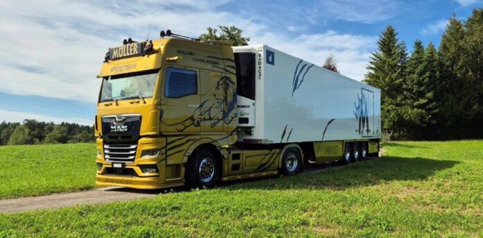 MAN TGX GX 4X2 MET 3 ASSIGE  KOELOPLEGGER  MULLER GOLDEN COMMANDER