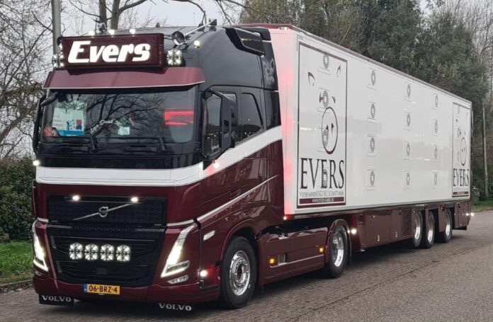 WSI  VOLVO FH 05   GLOBETROTTER 4X2  MET LIVE STOCK TRAILER  3 AXLE   EVERS   