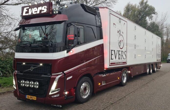 WSI  VOLVO FH 05   GLOBETROTTER 4X2  MET LIVE STOCK TRAILER  3 AXLE   EVERS    - Afbeelding 10