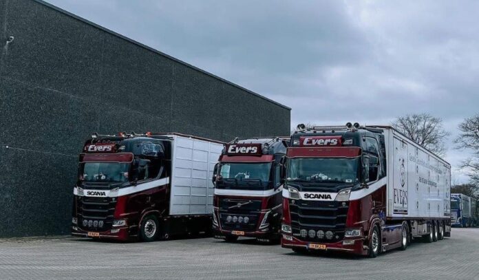 WSI  VOLVO FH 05   GLOBETROTTER 4X2  MET LIVE STOCK TRAILER  3 AXLE   EVERS    - Afbeelding 8