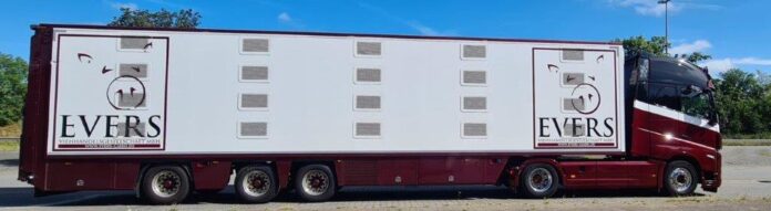 WSI  VOLVO FH 05   GLOBETROTTER 4X2  MET LIVE STOCK TRAILER  3 AXLE   EVERS    - Afbeelding 6