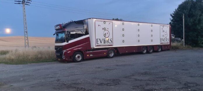 WSI  VOLVO FH 05   GLOBETROTTER 4X2  MET LIVE STOCK TRAILER  3 AXLE   EVERS    - Afbeelding 4