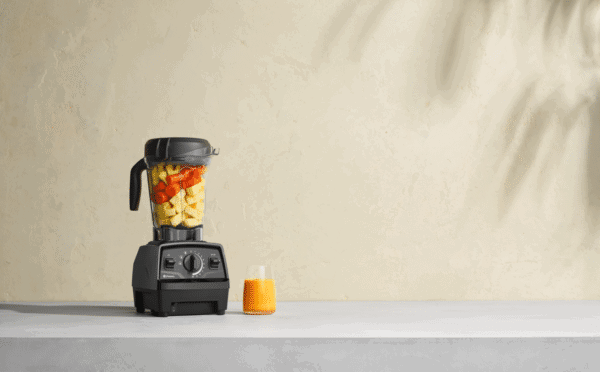 Vitamix E520 Explorian