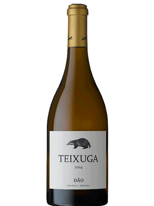 Teixuga Special Edition Branco