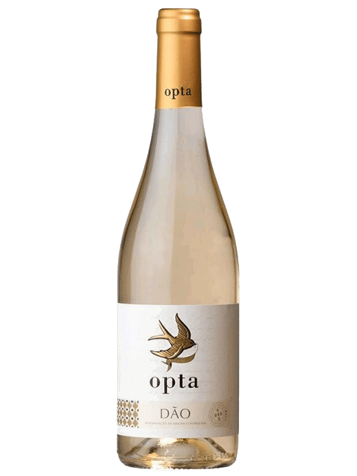 Opta Dao Branco
