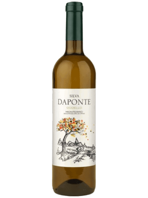 Silva Daponte Godello