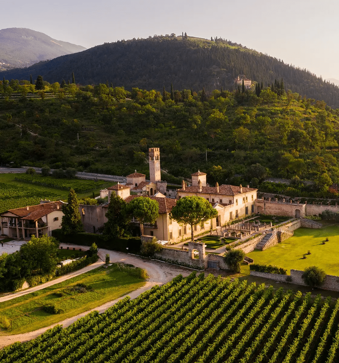 Allegrini winery
