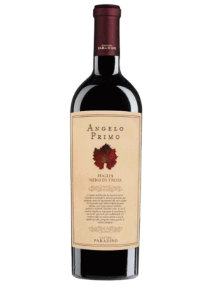 Angelo Primo Nero di Troia