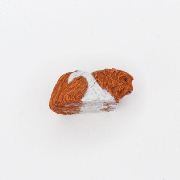Bedel feestbeest Cavia