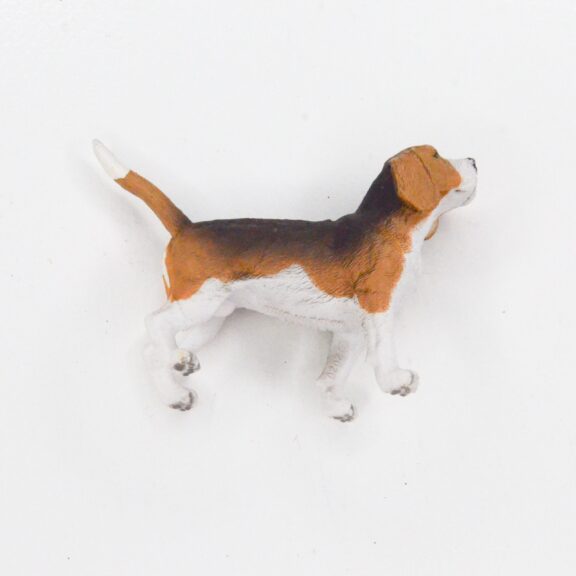 Bedel feestbeest Hond Beagle