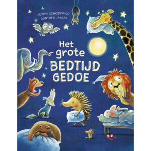 Het grote bedtijd gedoe - Sophie Schoenwald