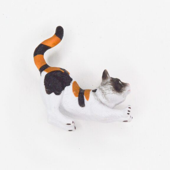 Bedel feestbeest Poes