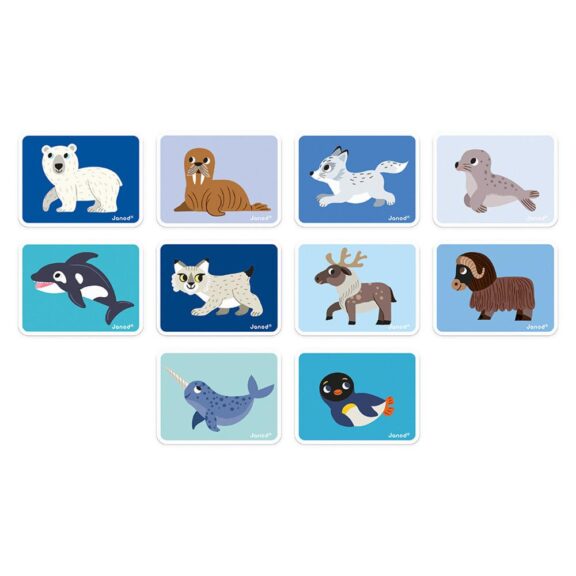 Janod - Magnetibook Pooldieren - Afbeelding 4
